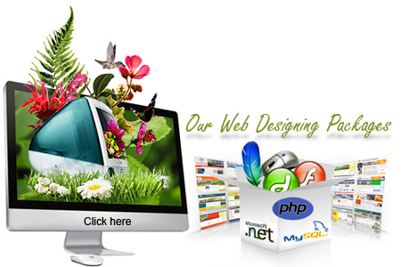 Web Designing Services in Delhi